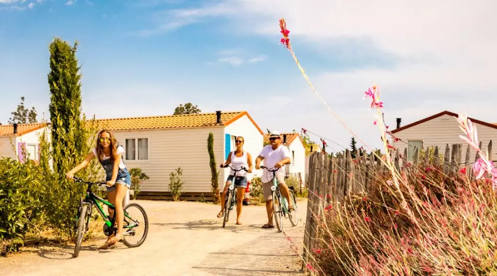 Camping Mas Des Lavandes4 Sterren★★★★