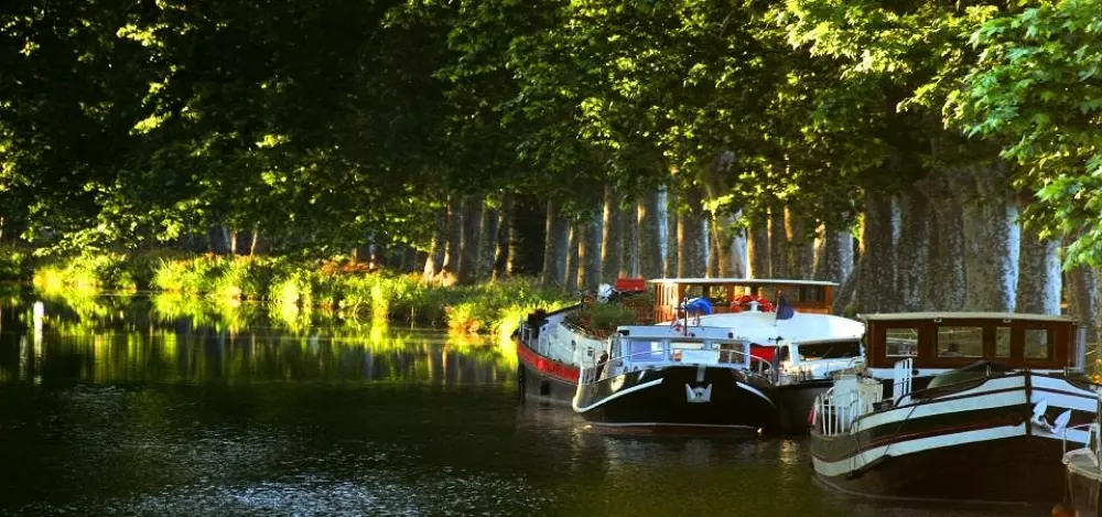 Camping Mas des Lavandes 4 étoiles★★★★