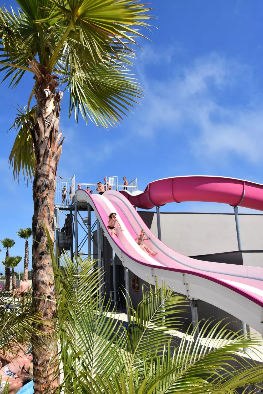 Camping Mas des Lavandes 4 étoiles★★★★