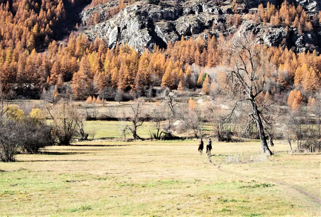 Alpentuinchalets