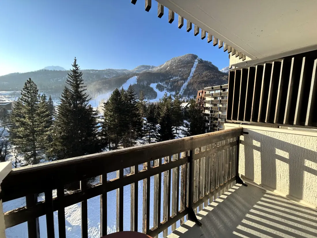 Residence Plaine Alpe 2