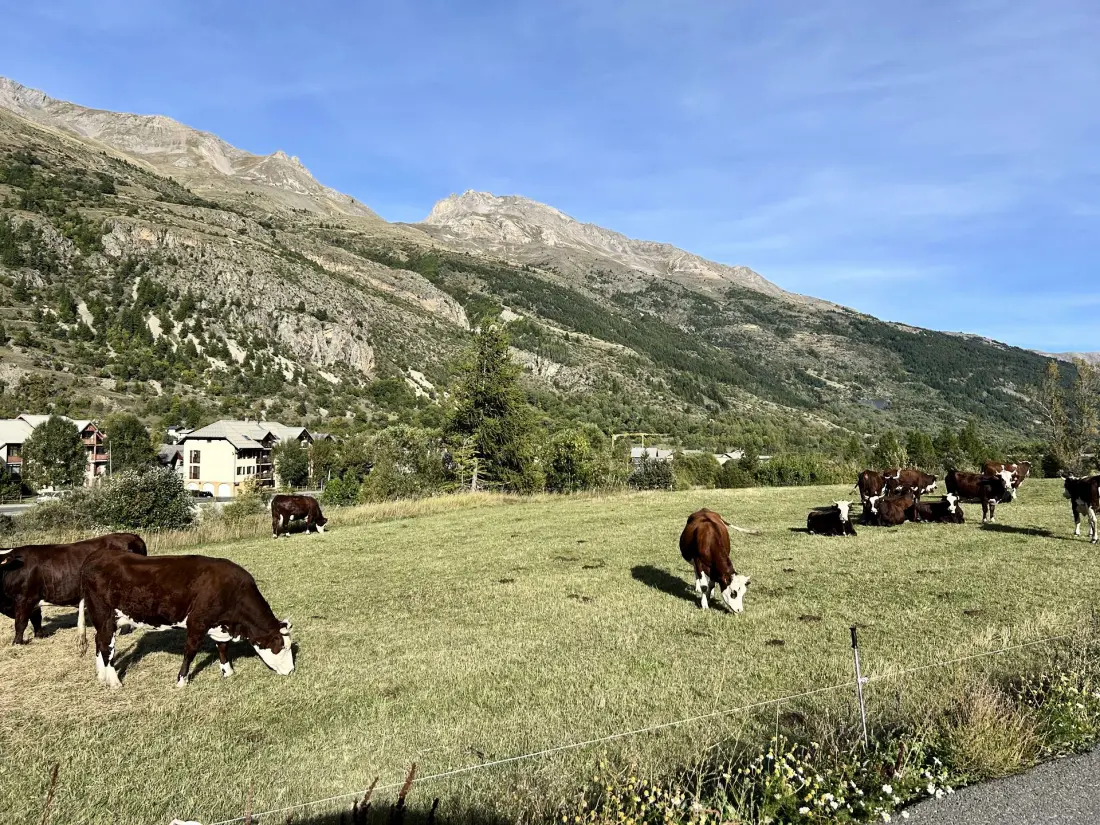 Residenza Rochebrune Mo