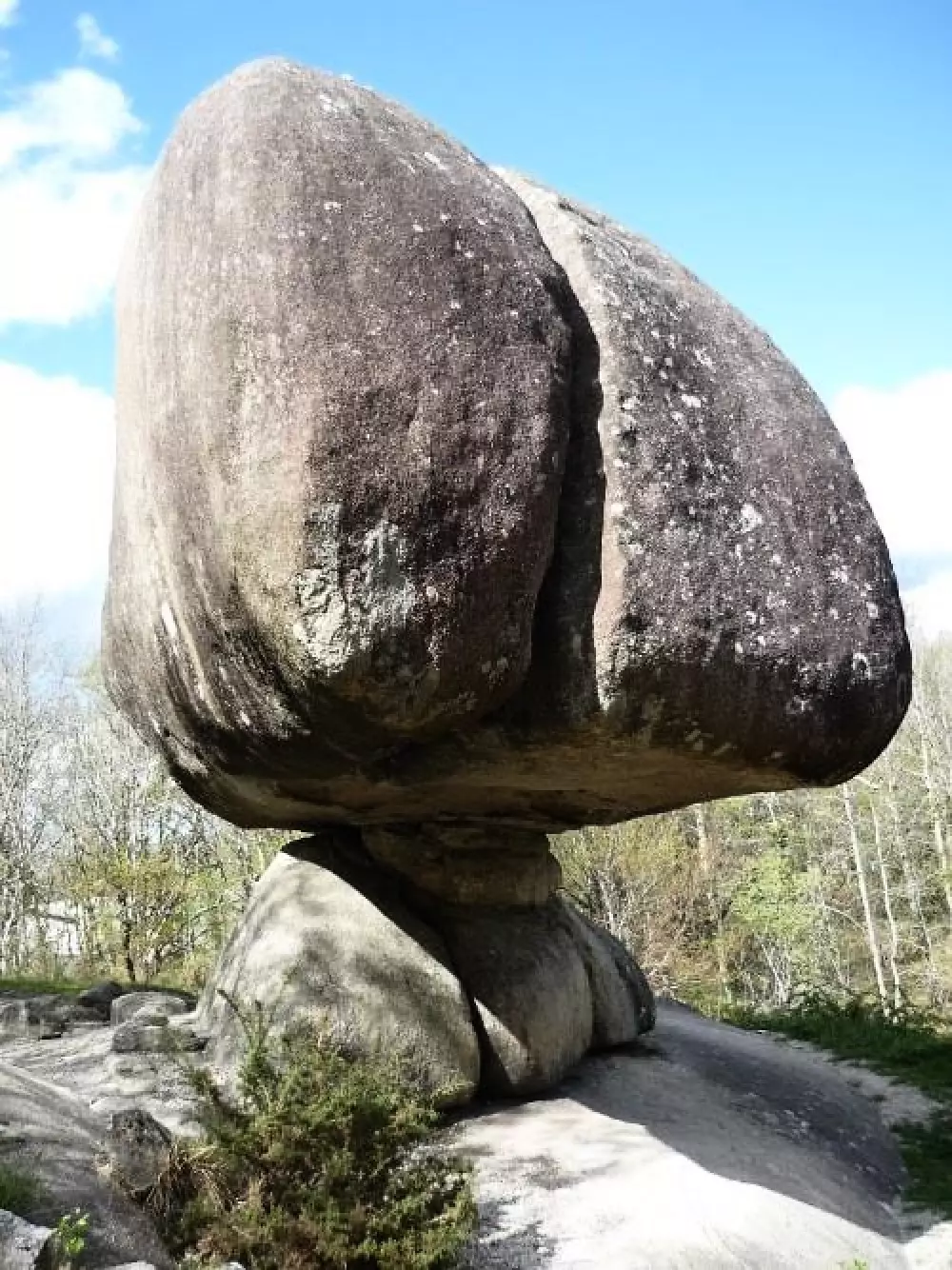 Camping de Rousieux 4 Stars★★★★