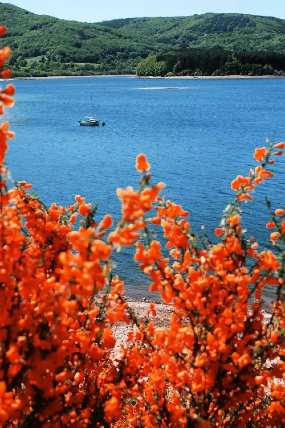 Camping de Rousieux 4 Stars★★★★