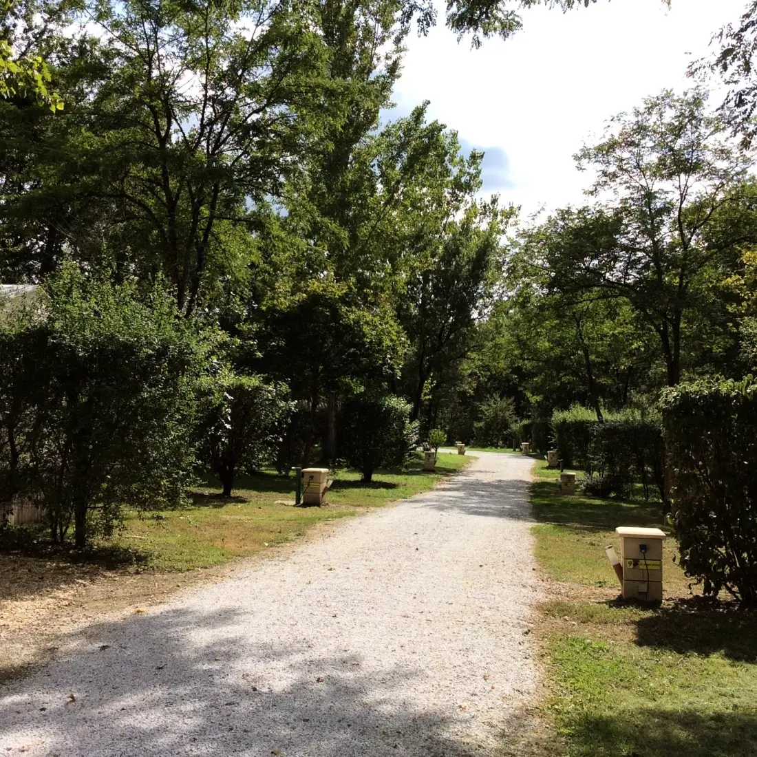 Camping de Rousieux 4 Estrellas★★★★