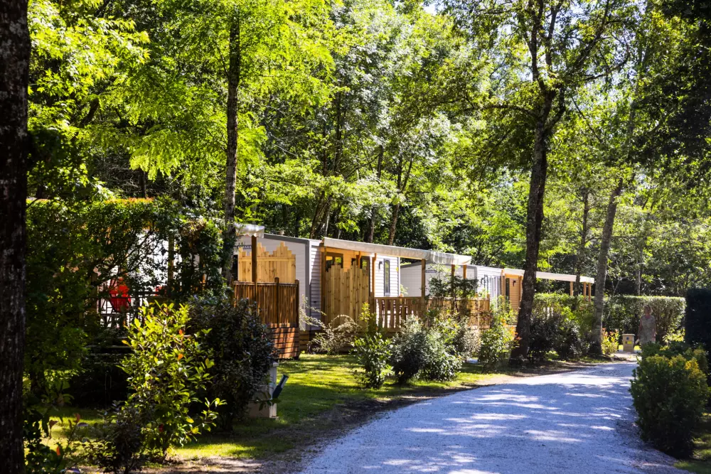 Camping de Rousieux 4 Stars★★★★