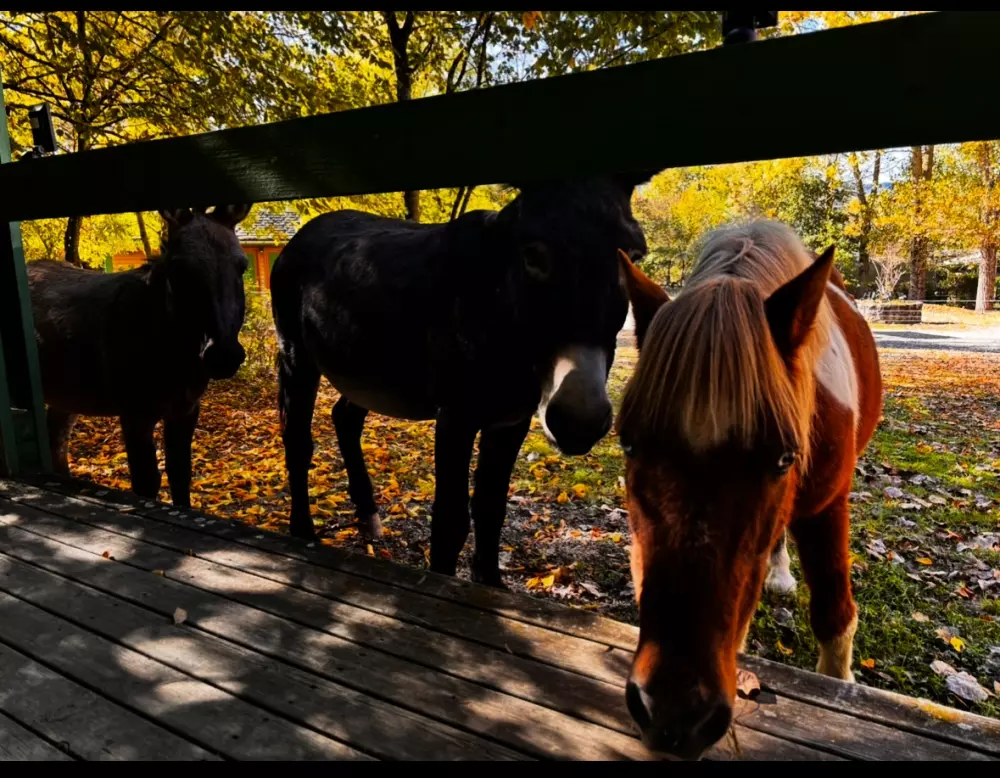 Campingplatz Le Plô 3 Sterne★★★