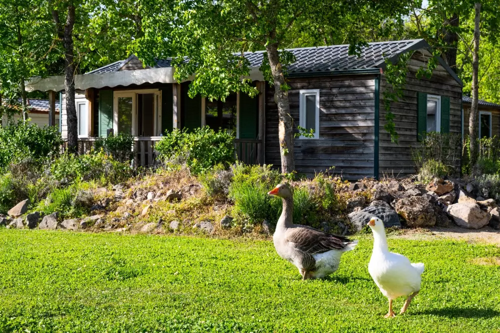 Campingplatz Le Plô 3 Sterne★★★