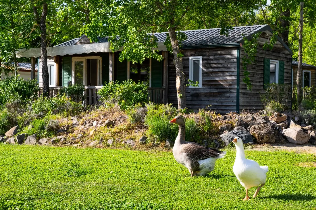 Camping Le Plô 3 Stjerner★★★