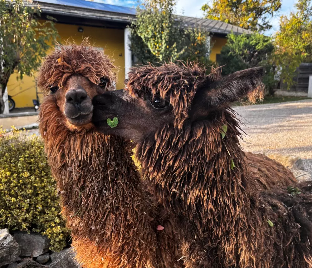 Campingplatz Le Plô 3 Sterne★★★