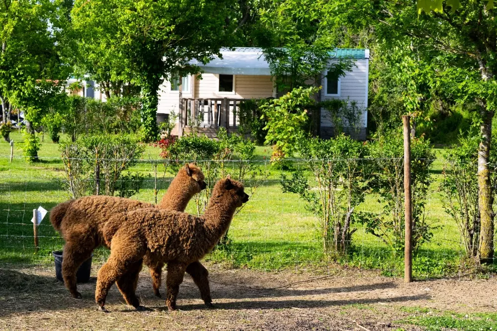 Campingplatz Le Plô 3 Sterne★★★