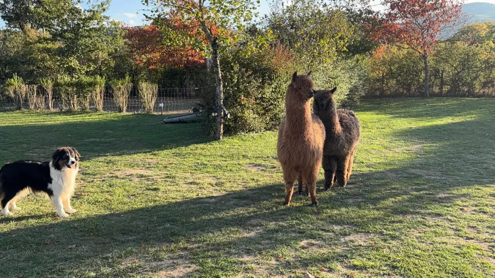 Campingplatz Le Plô 3 Sterne★★★
