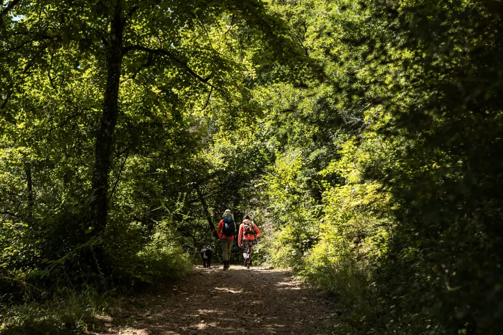 Campingplatz les Calquières4 Sterne★★★★