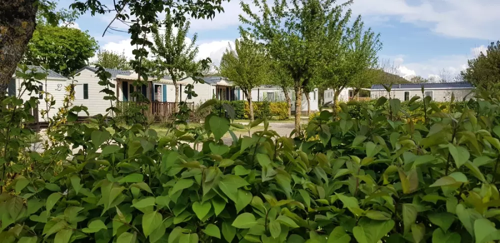 Campingplatz les Calquières4 Sterne★★★★