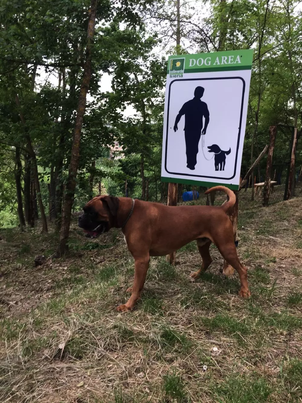 Camping Siena Colleverde 3 Estrellas★★★