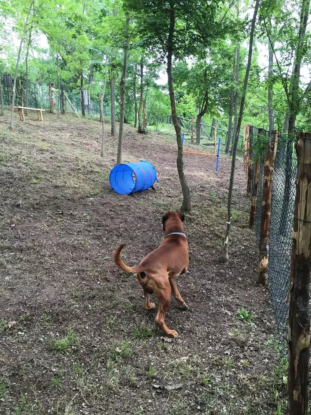 Camping Siena Colleverde 3 Estrellas★★★