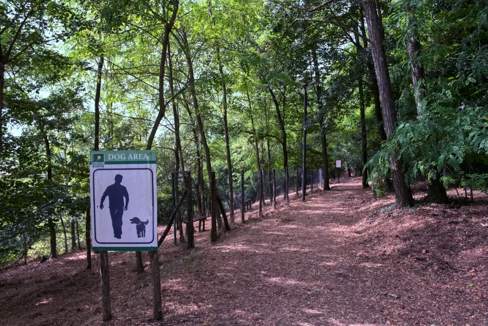 Camping Siena Colleverde 3 Estrellas★★★