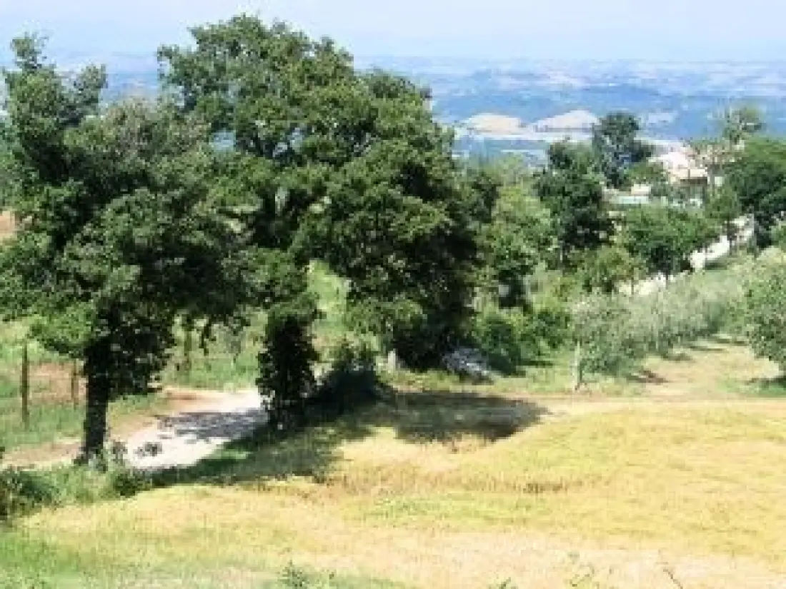 PARCO DELLE PISKINE