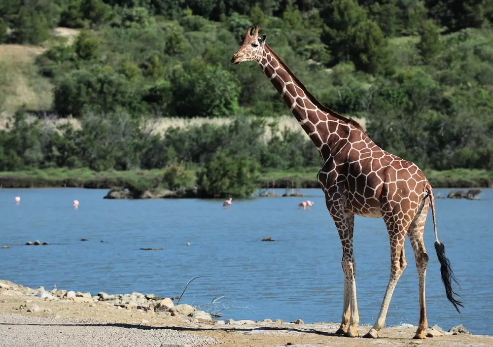 Campingplads La Grange Neuvebæk
