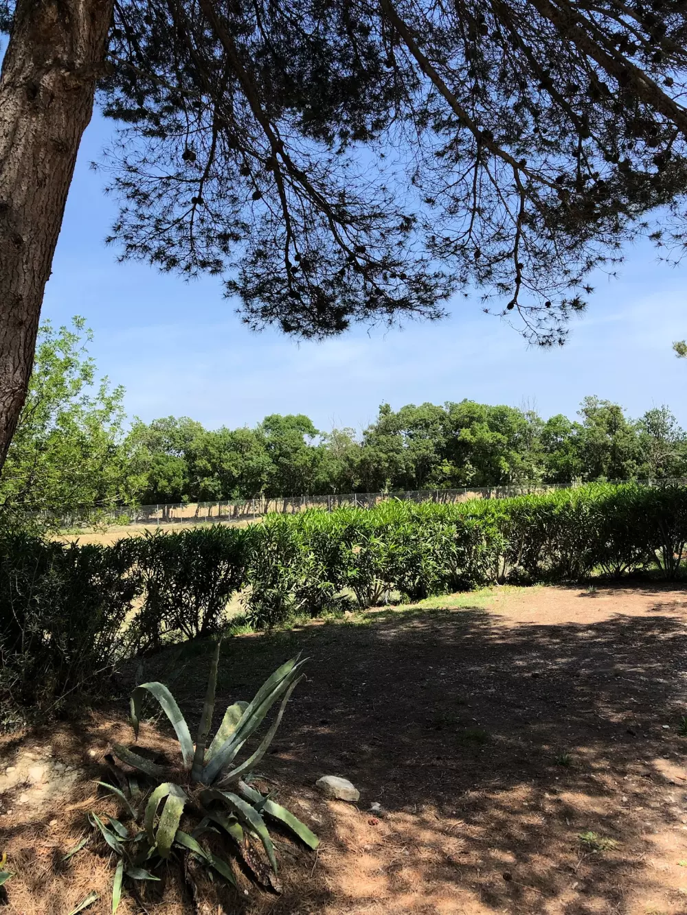 Campingplads La Grange Neuvebæk