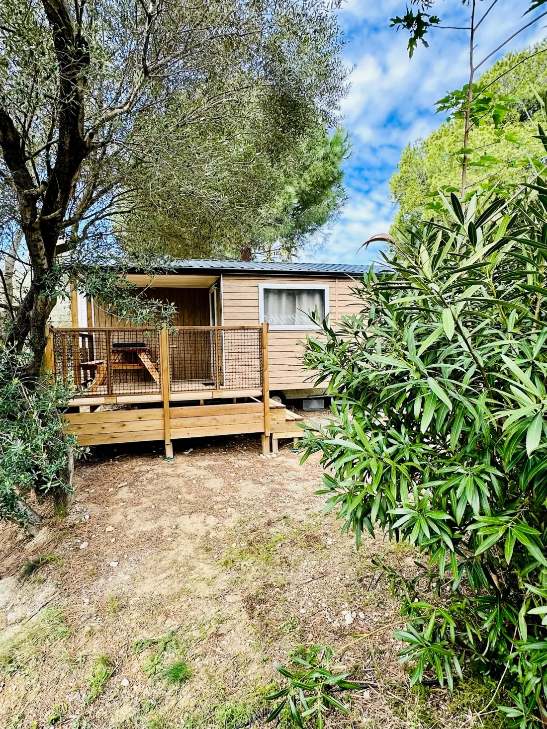 Campsite La Grange Neuve - A Sigean afrikai tartalékával szemben 3 Csillagok★★★