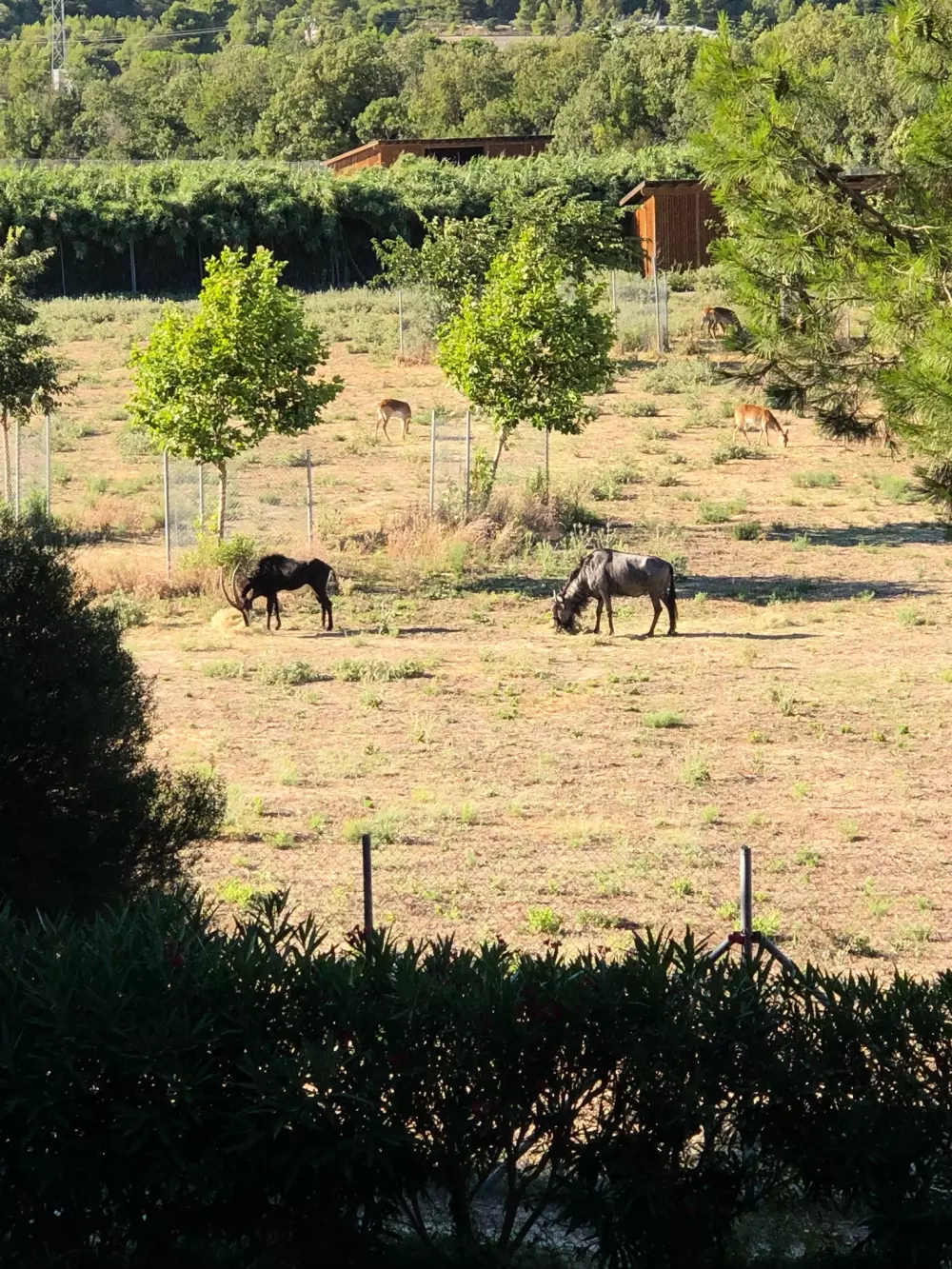 Campingplads La Grange Neuvebæk