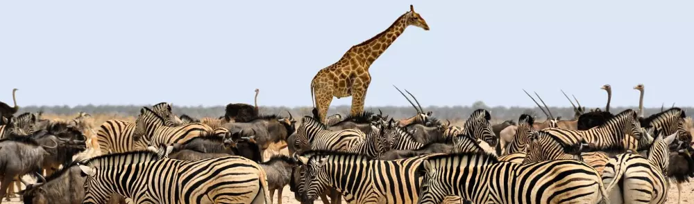 Campingplads La Grange Neuvebæk