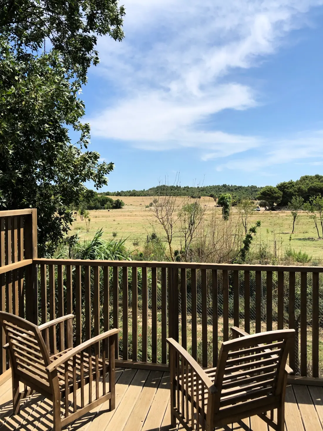 Campsite La Grange Neuve - A Sigean afrikai tartalékával szemben 3 Csillagok★★★