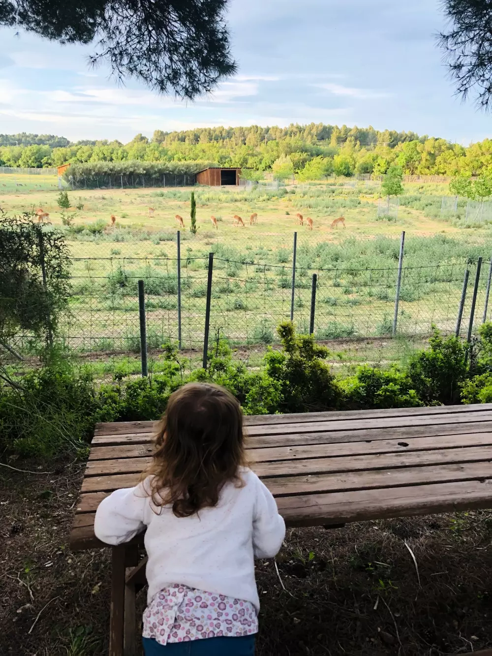 Campingplads La Grange Neuvebæk