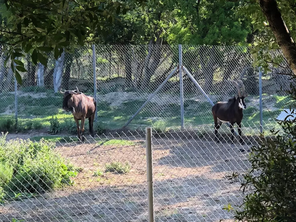 Campingplads La Grange Neuvebæk