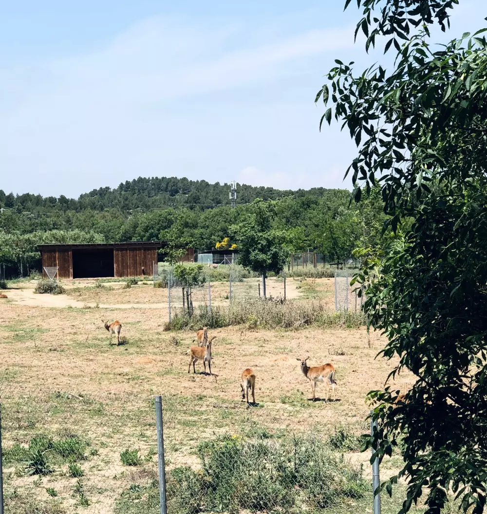 Campingplads La Grange Neuvebæk