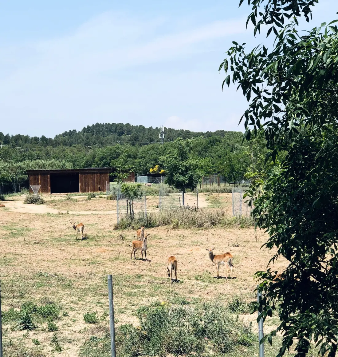Camping La Grange Neuve 3 Sterne★★★
