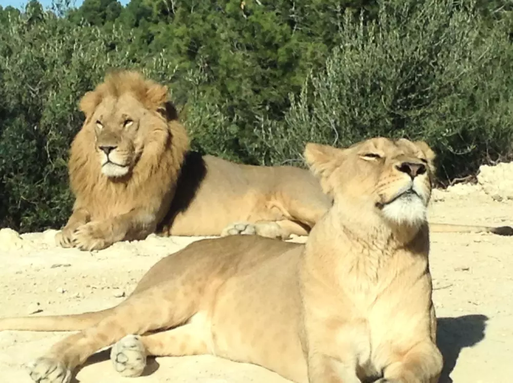 Campingplads La Grange Neuvebæk
