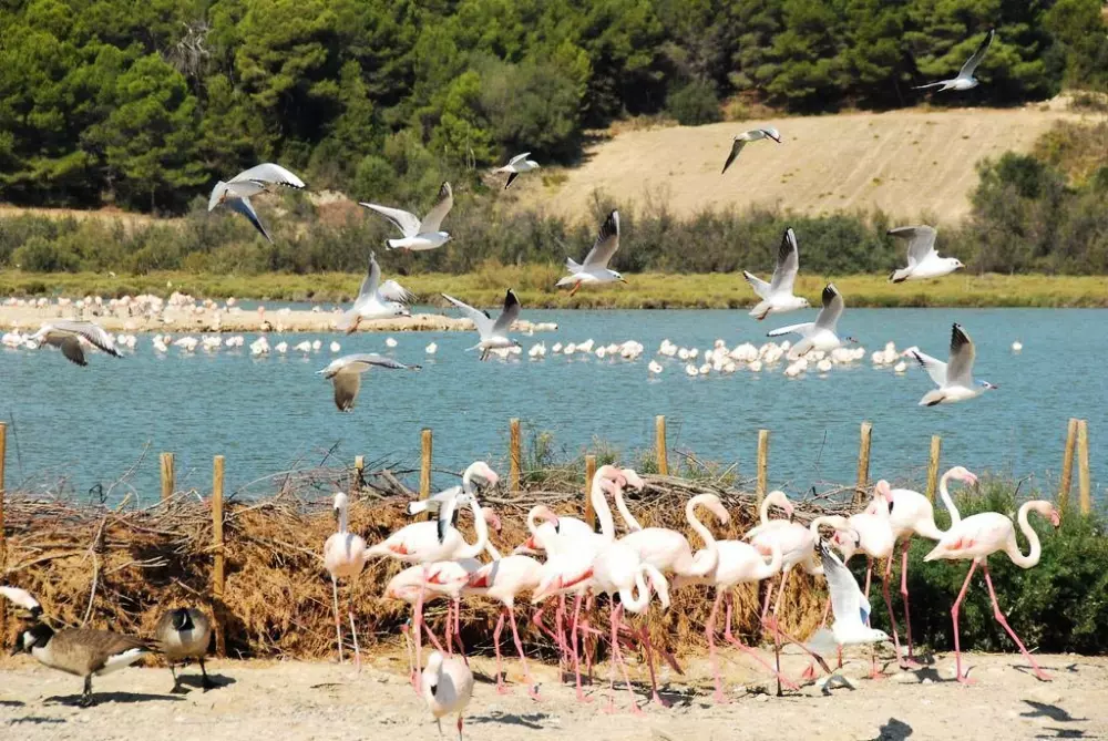 Campingplads La Grange Neuvebæk