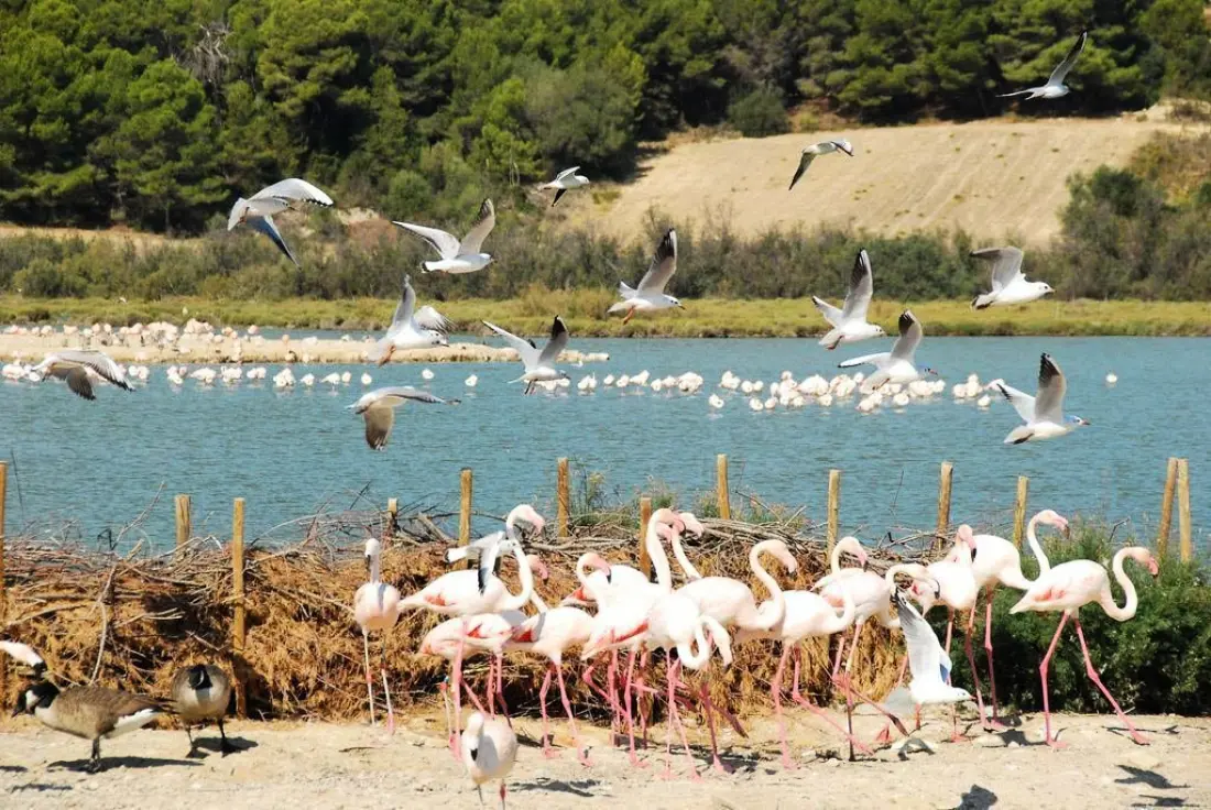 Camping La Grange Neuve 3 Sterne★★★