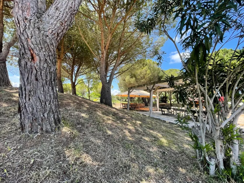 Camping Seasonova Ensoya 3 Sterren★★★