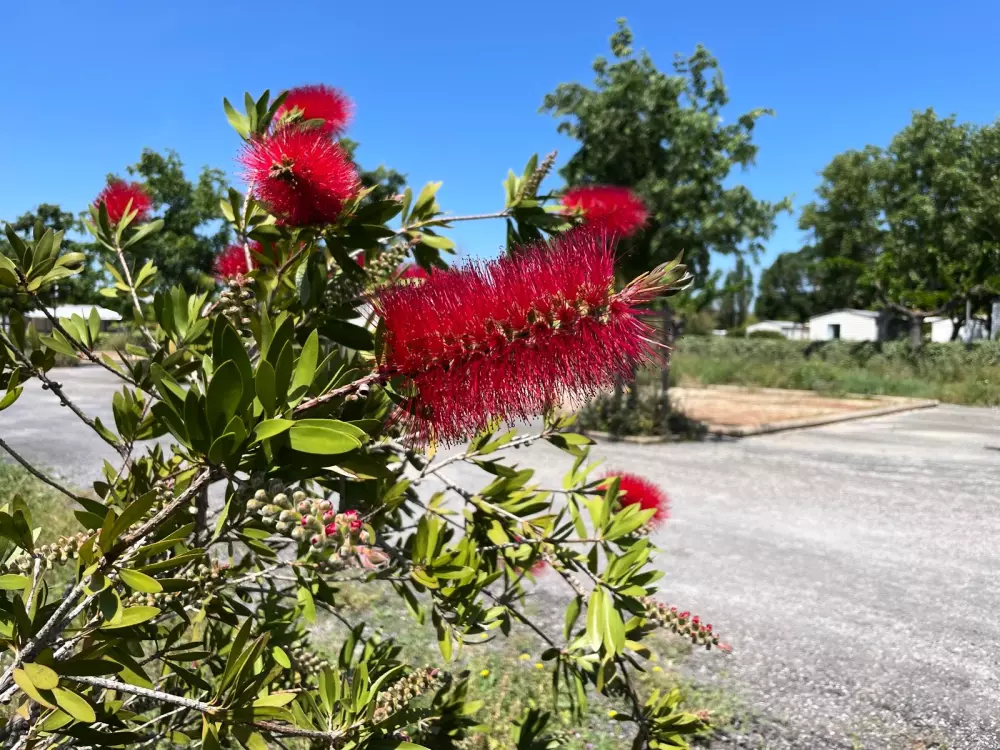 Camping Seasonova Ensoya 3 Sterren★★★