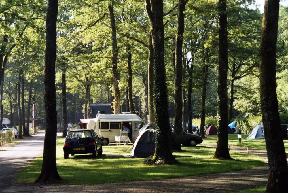 Camping de la Forêt3 Sterren★★★