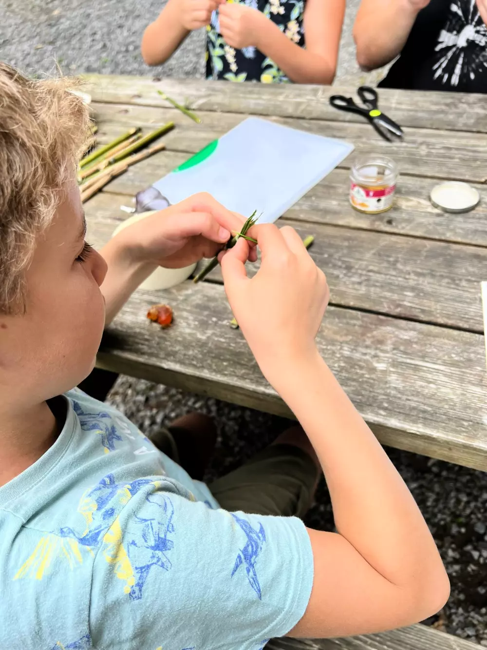 Camping de la Forêt3 Sterren★★★