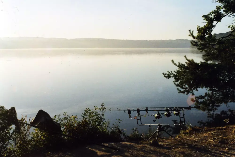Camping de la Forêt3 Sterren★★★