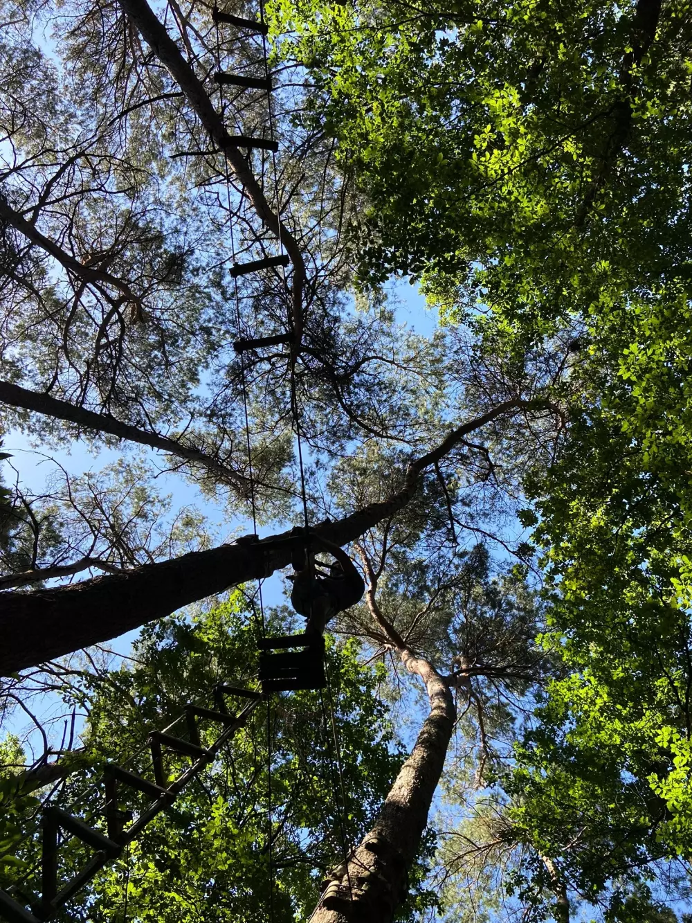 Camping de la Forêt3 Sterren★★★