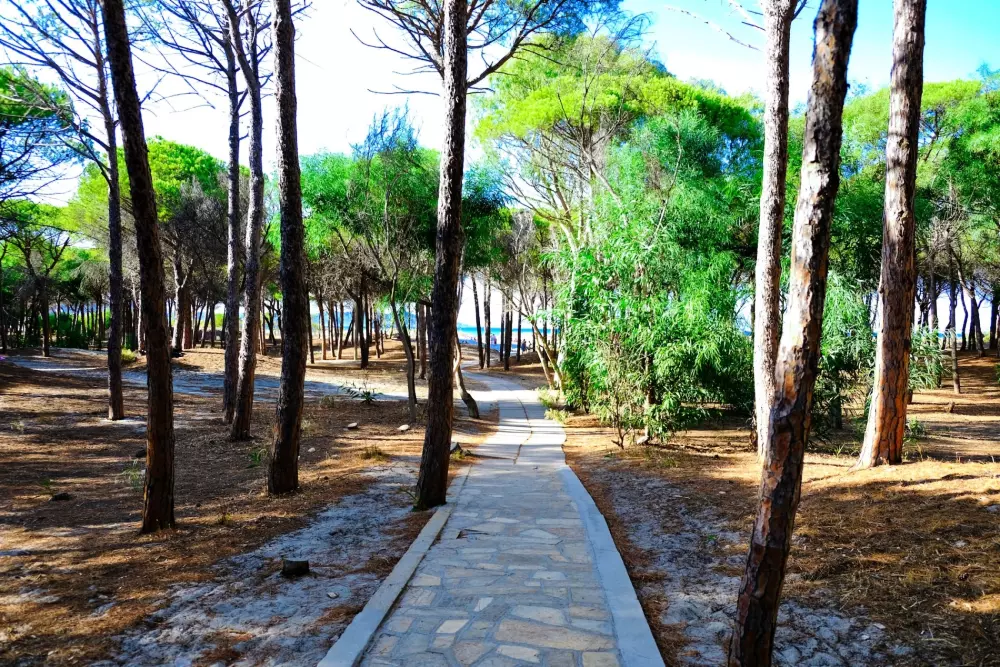 Campsite Selema 3 Stars★★★