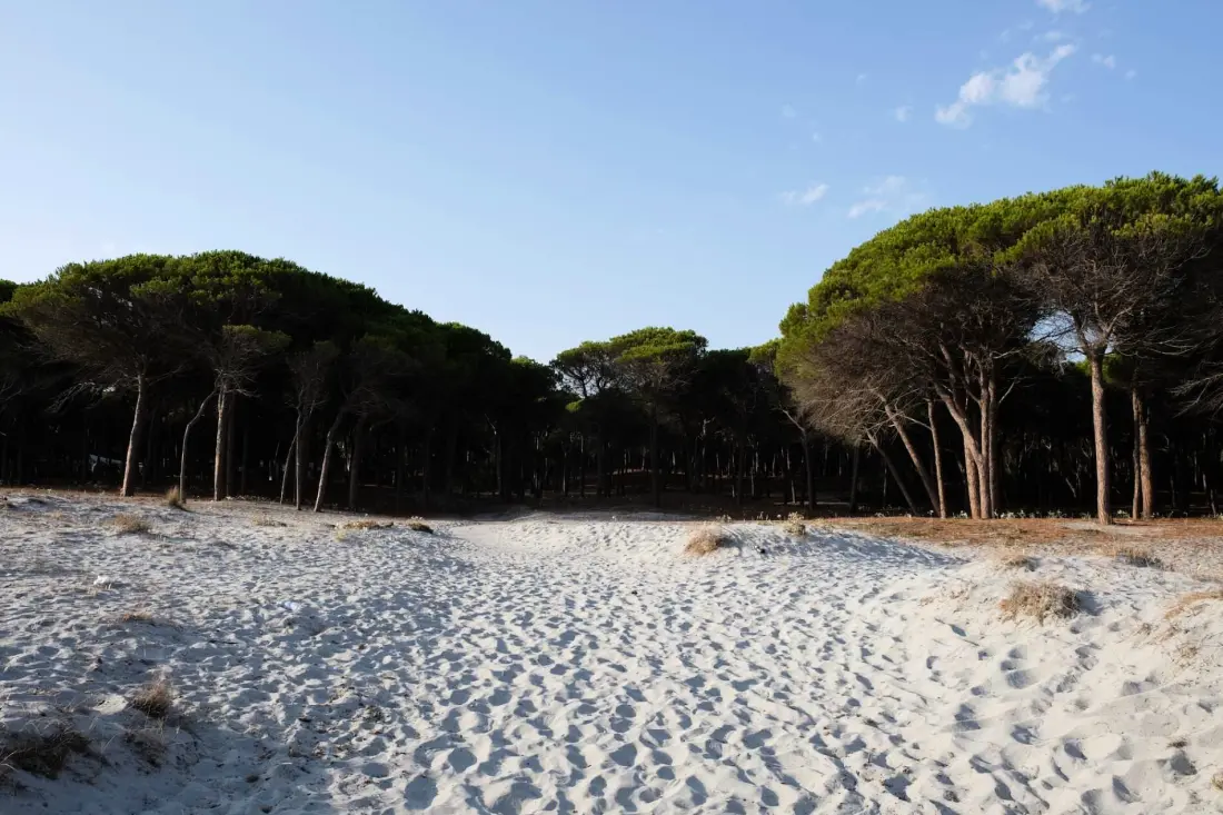 Campingplatz Selema 3 Sterne★★★