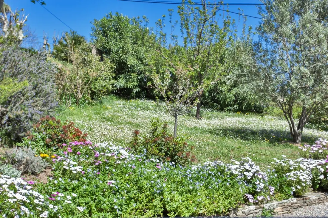 Villa Merusellu