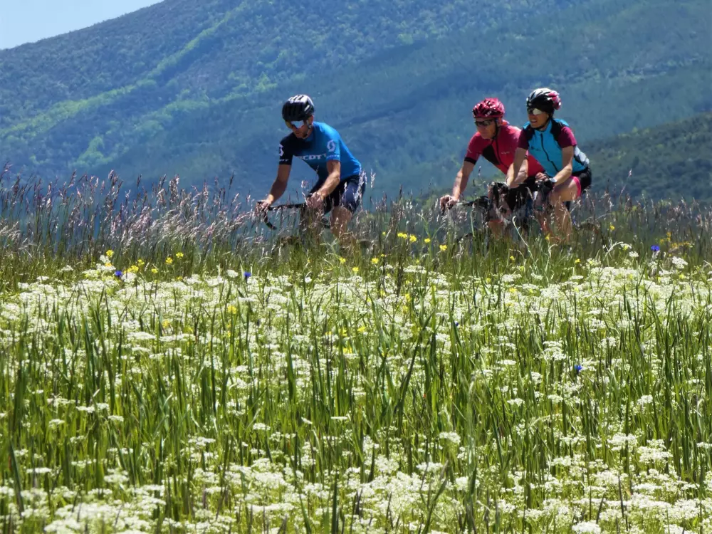 Steder og landskaber Les Prés Hauts 3 Stjerner★★★