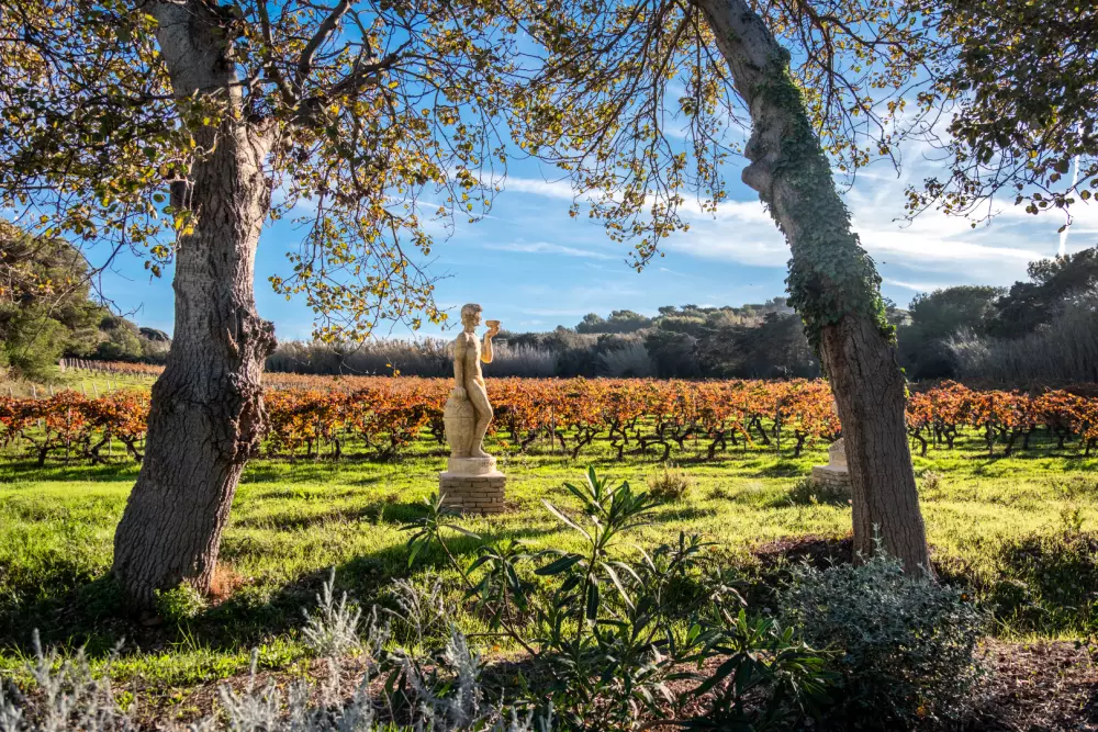 Die Hélios Apartments - Ile des Embiez