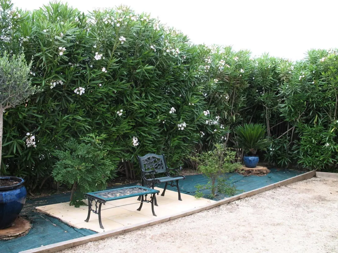 Residence 198-six Fours Les Plages