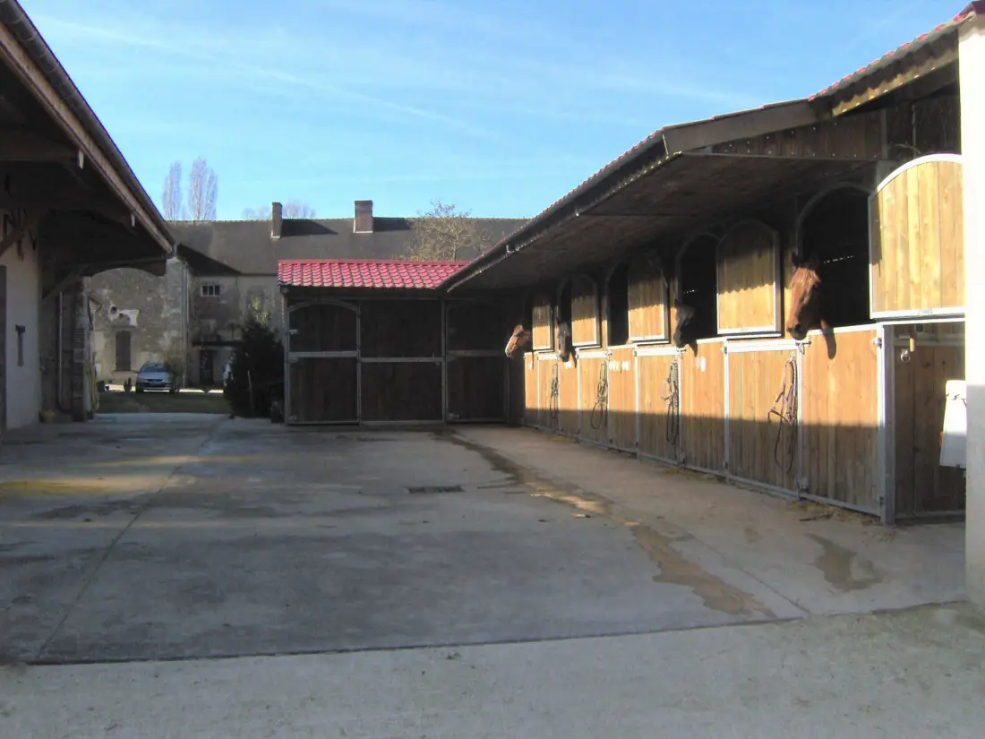 Gîte de France Der weiße Mann 4 Ohren