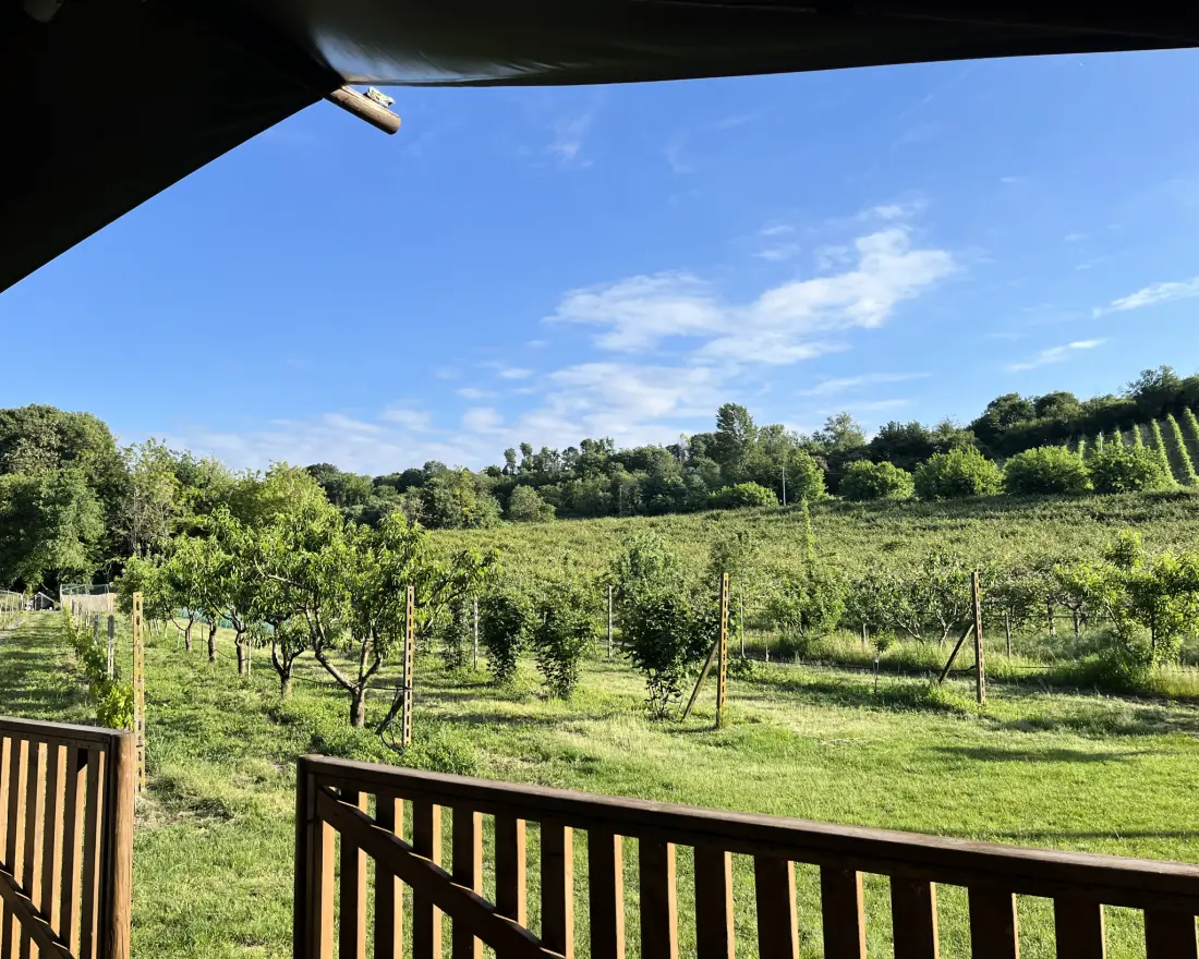 Agriturismo Le Sorgive e Le Volpi (Vodatent)