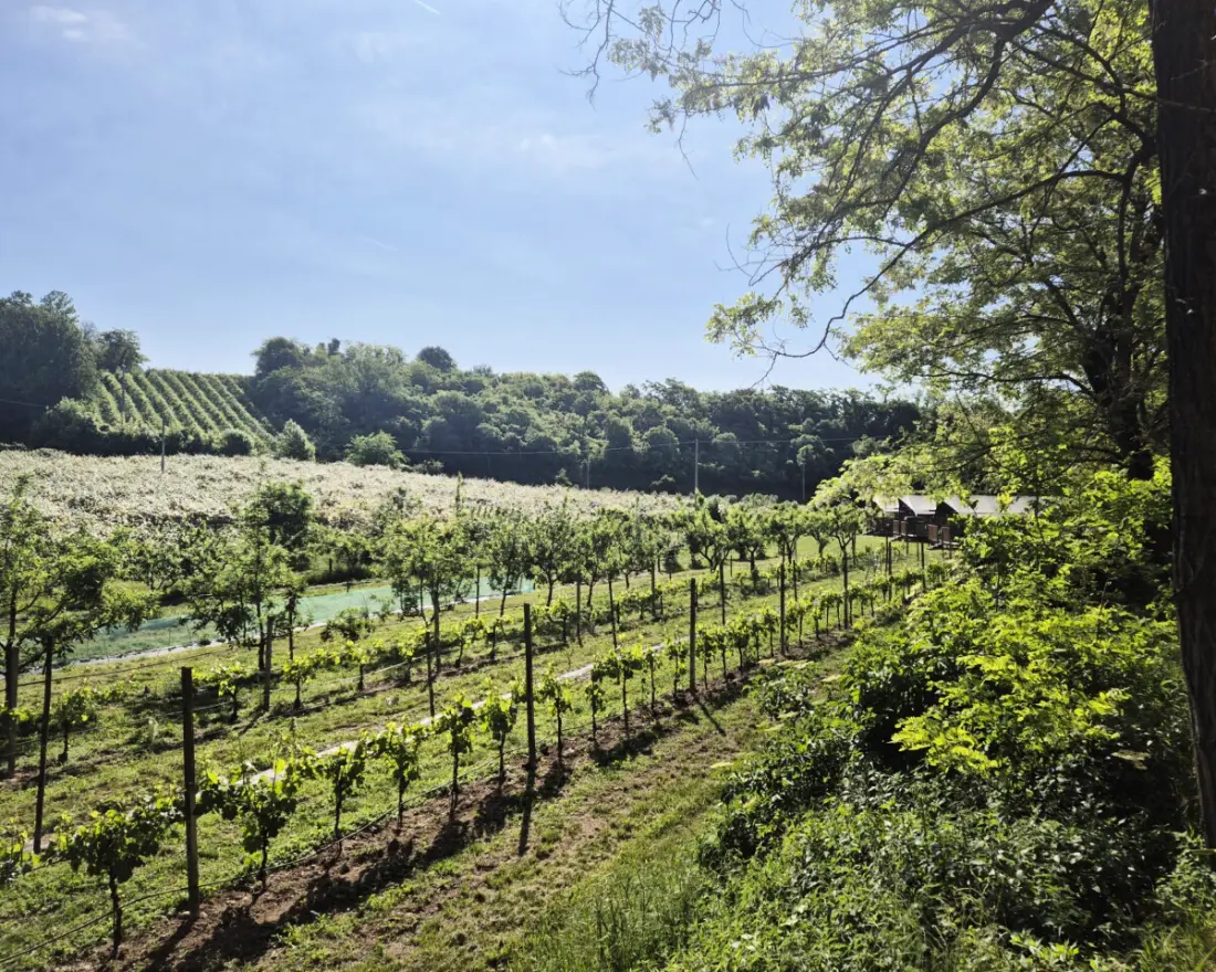 Agriturismo Le Sorgive e Le Volpi (Vodatent)